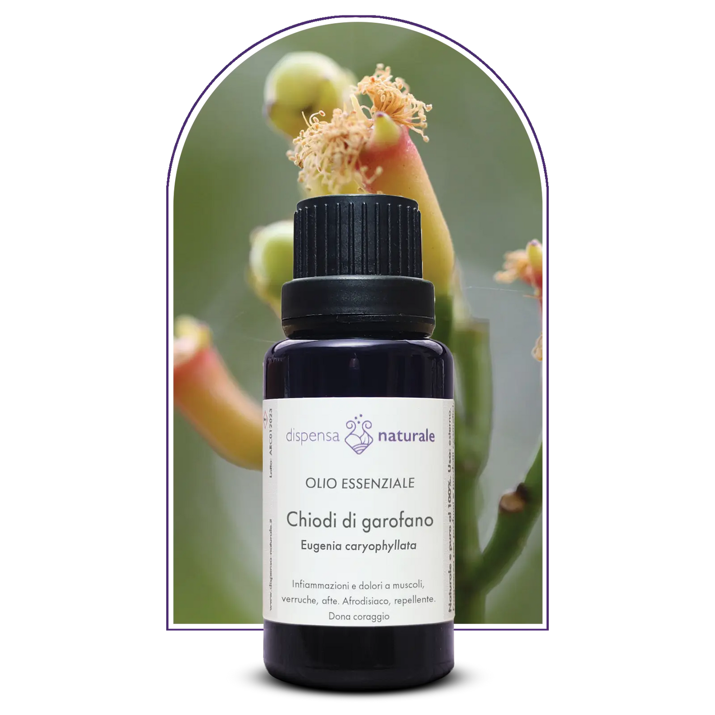 Olio Essenziale di Chiodi di Garofano, artigianale e senza pesticidi, India