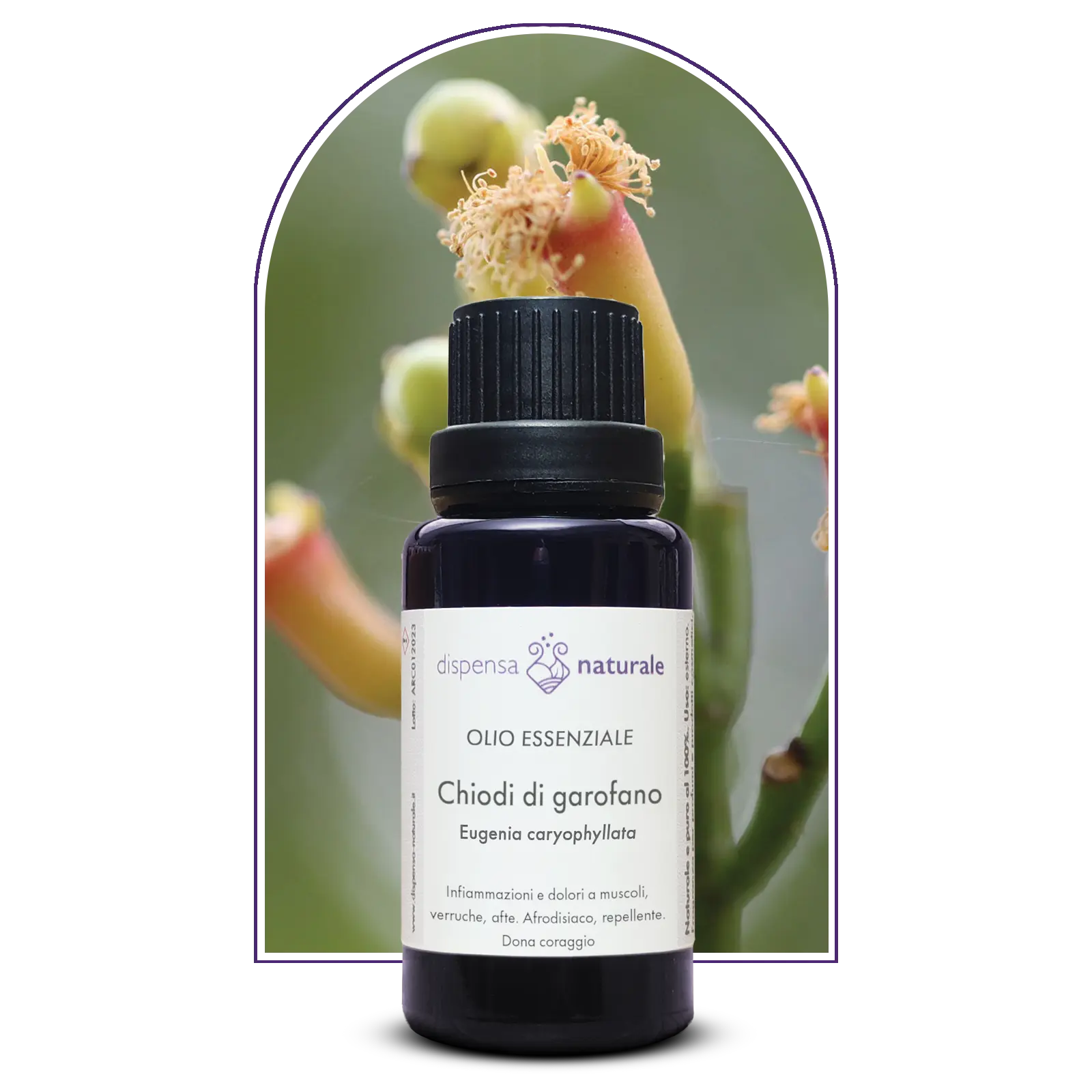 Olio Essenziale di Chiodi di Garofano, artigianale e senza pesticidi, India