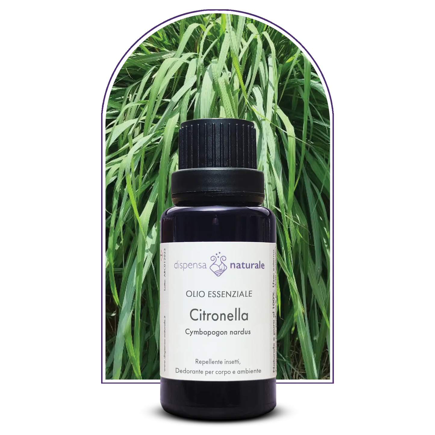 Olio Essenziale di Citronella, artigianale e senza pesticidi, India