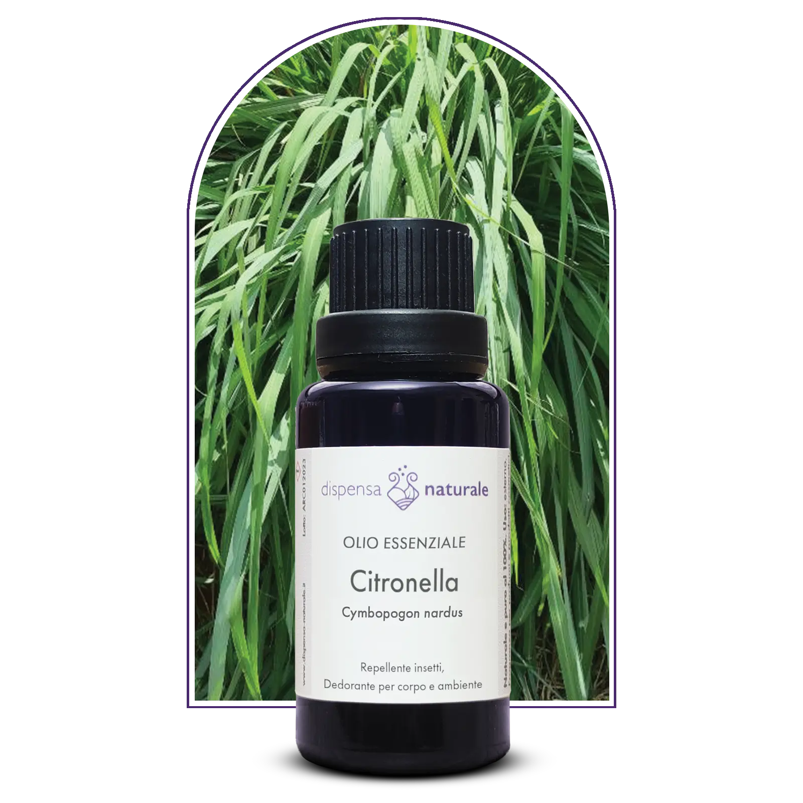 Olio Essenziale di Citronella, artigianale e senza pesticidi, India