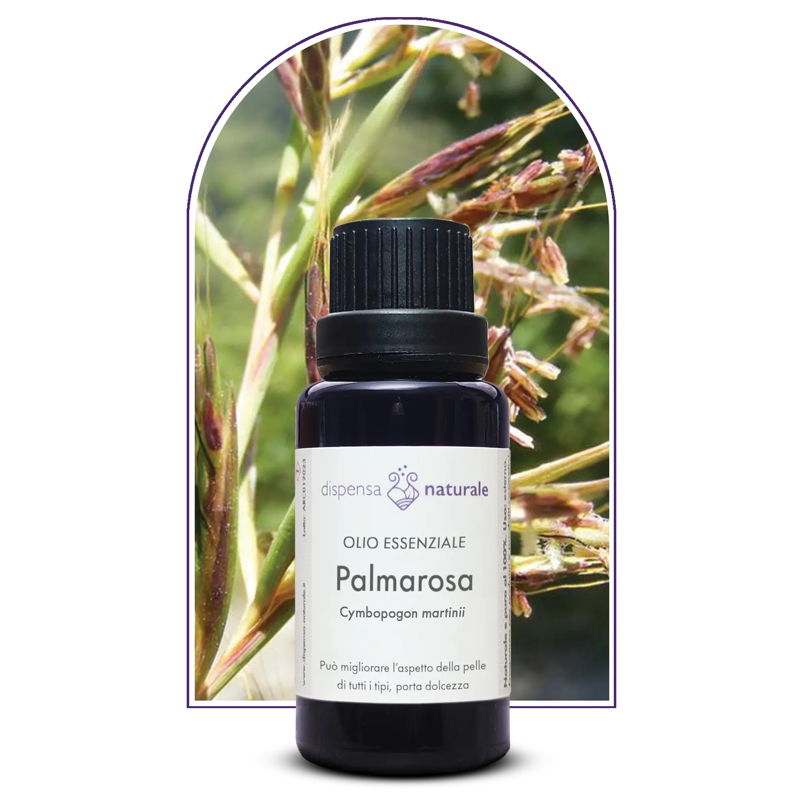 Olio Essenziale di Palmarosa, artigianale e senza pesticidi, India