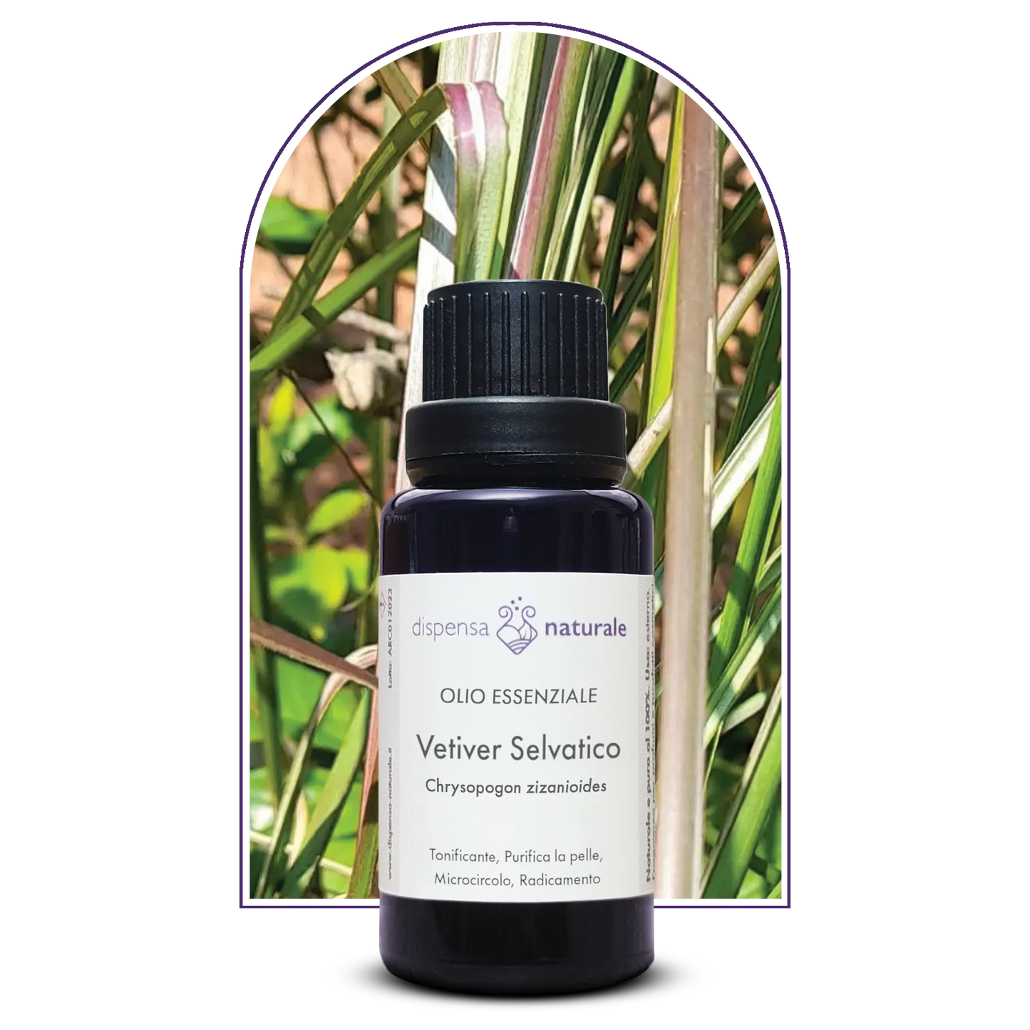 Olio Essenziale di Vetiver Verde selvatico, artigianale, India