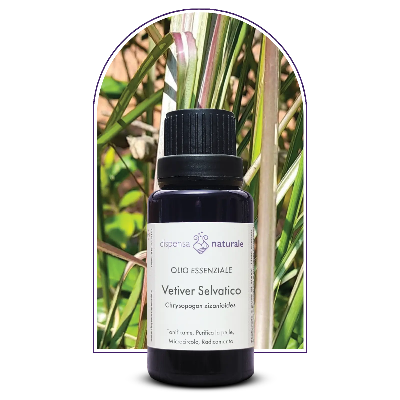 Olio Essenziale di Vetiver Verde selvatico, artigianale, India