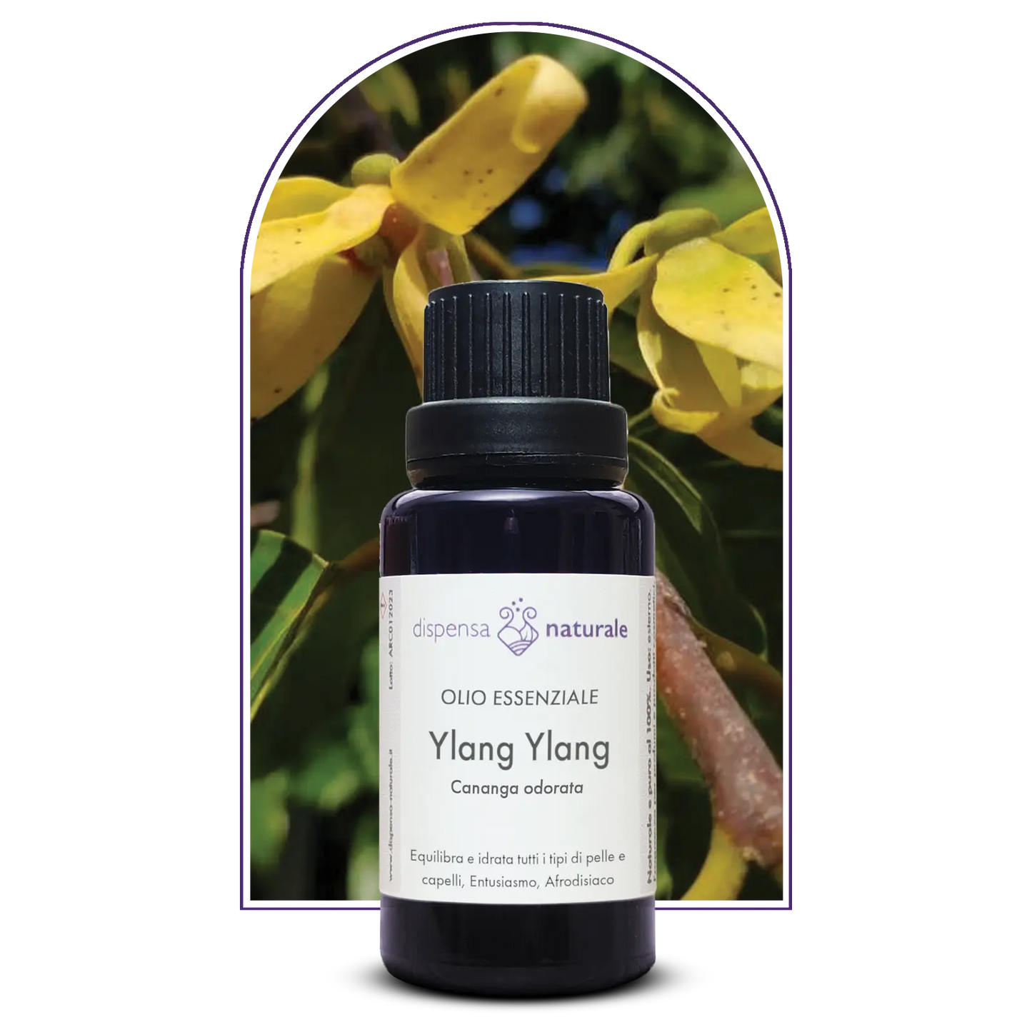 Olio Essenziale di Ylang-ylang Completo, artigianale e senza pesticidi, Madagascar