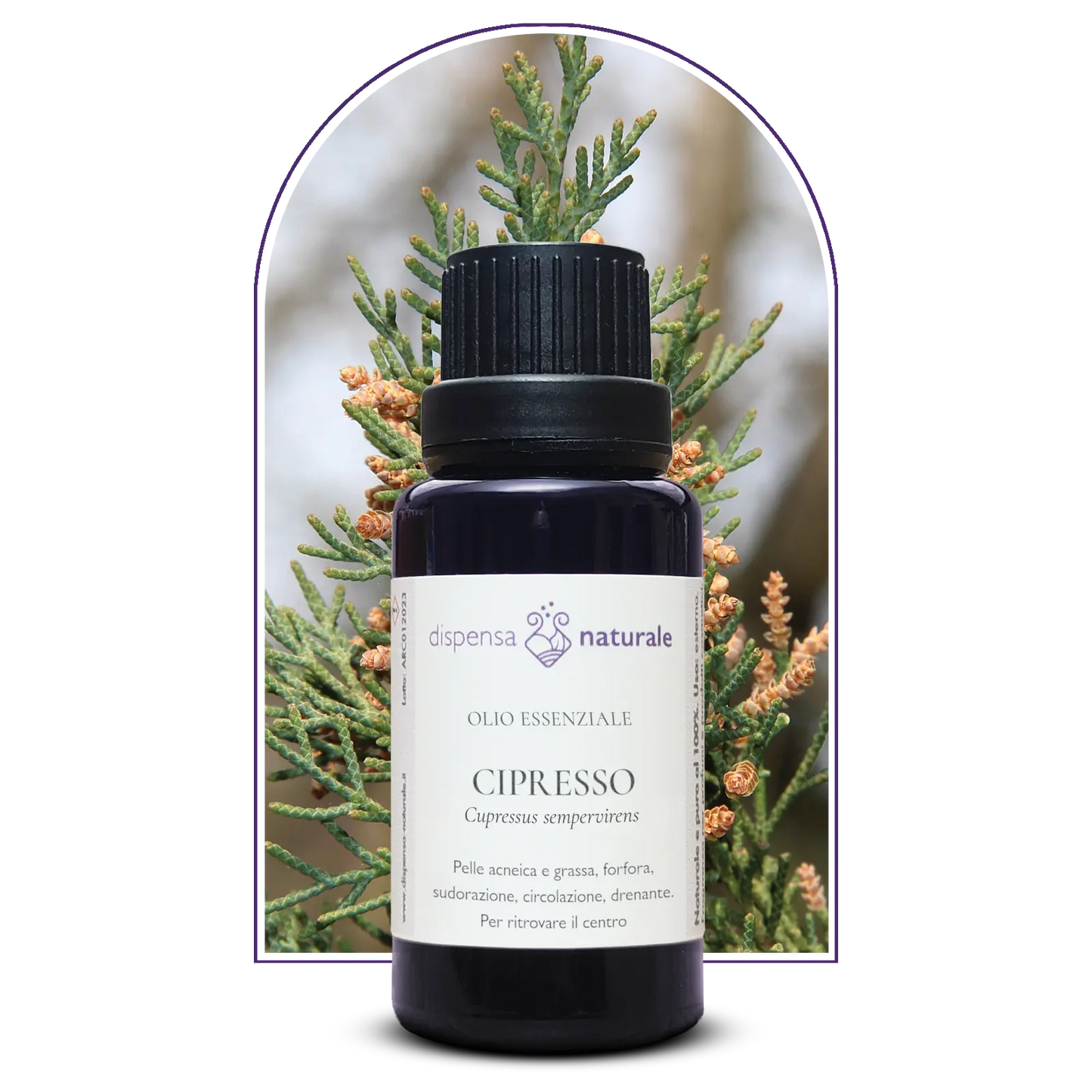Olio Essenziale di Cipresso, senza pesticidi, Toscana