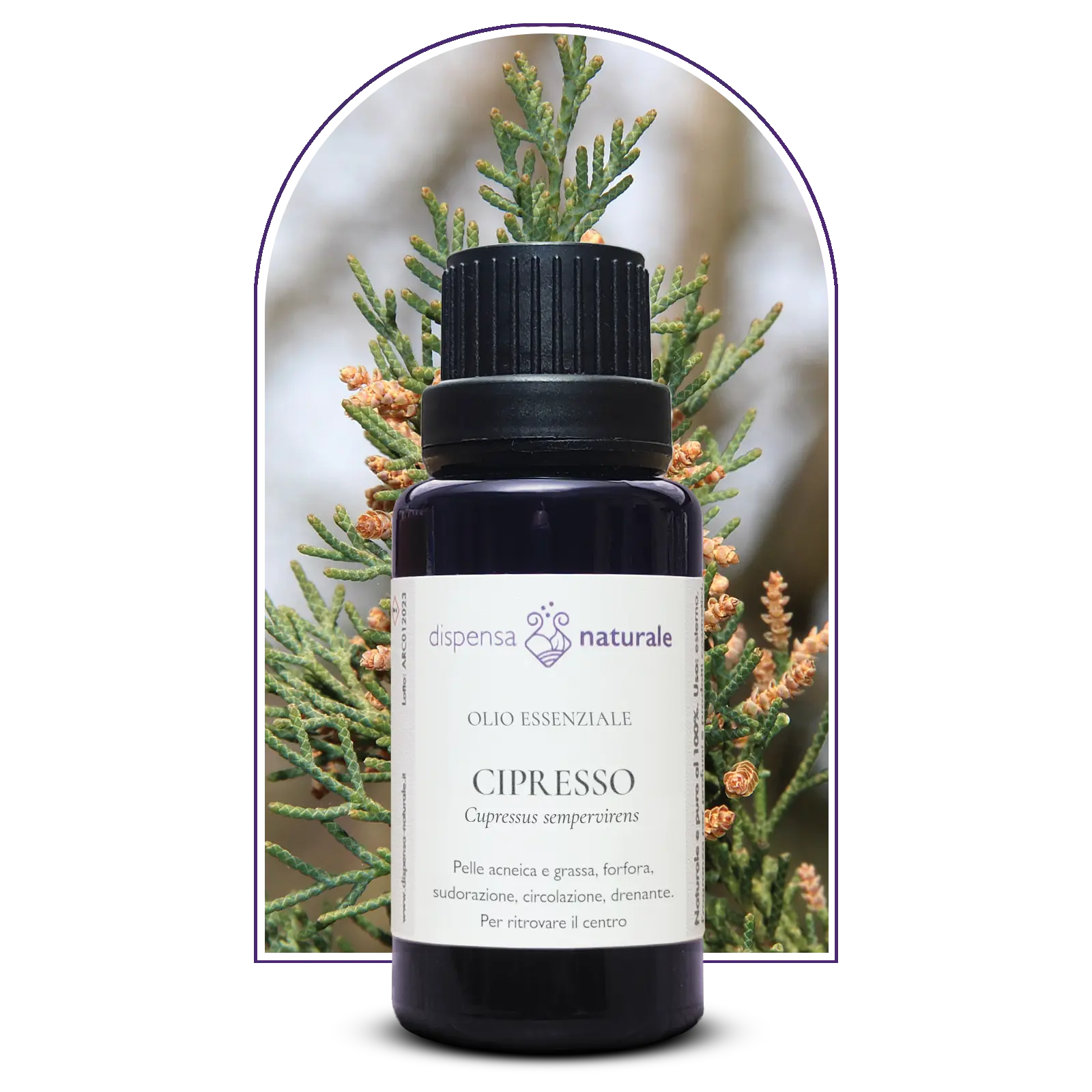 Olio Essenziale di Cipresso, senza pesticidi, Toscana