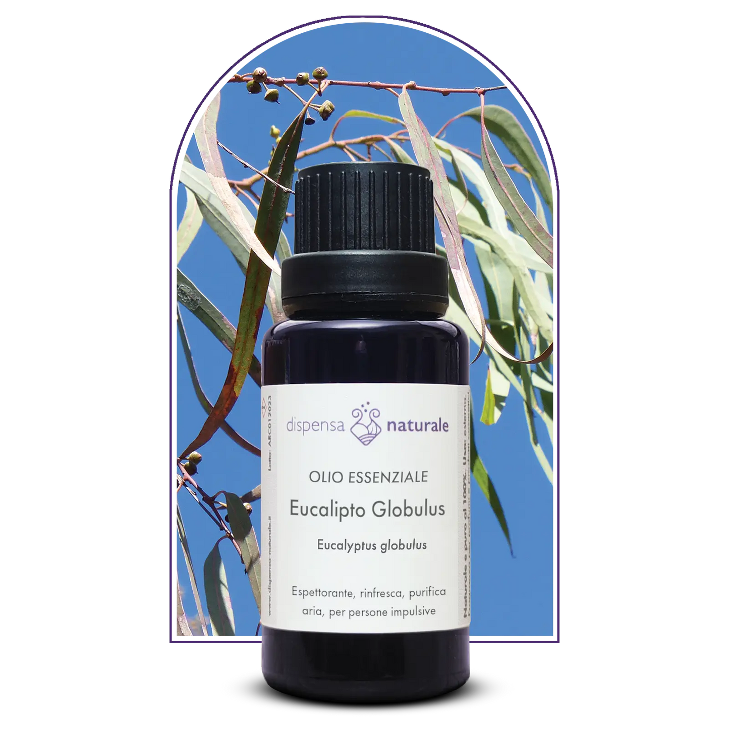 Olio Essenziale di Eucalipto Globulus senza pesticidi, Italia