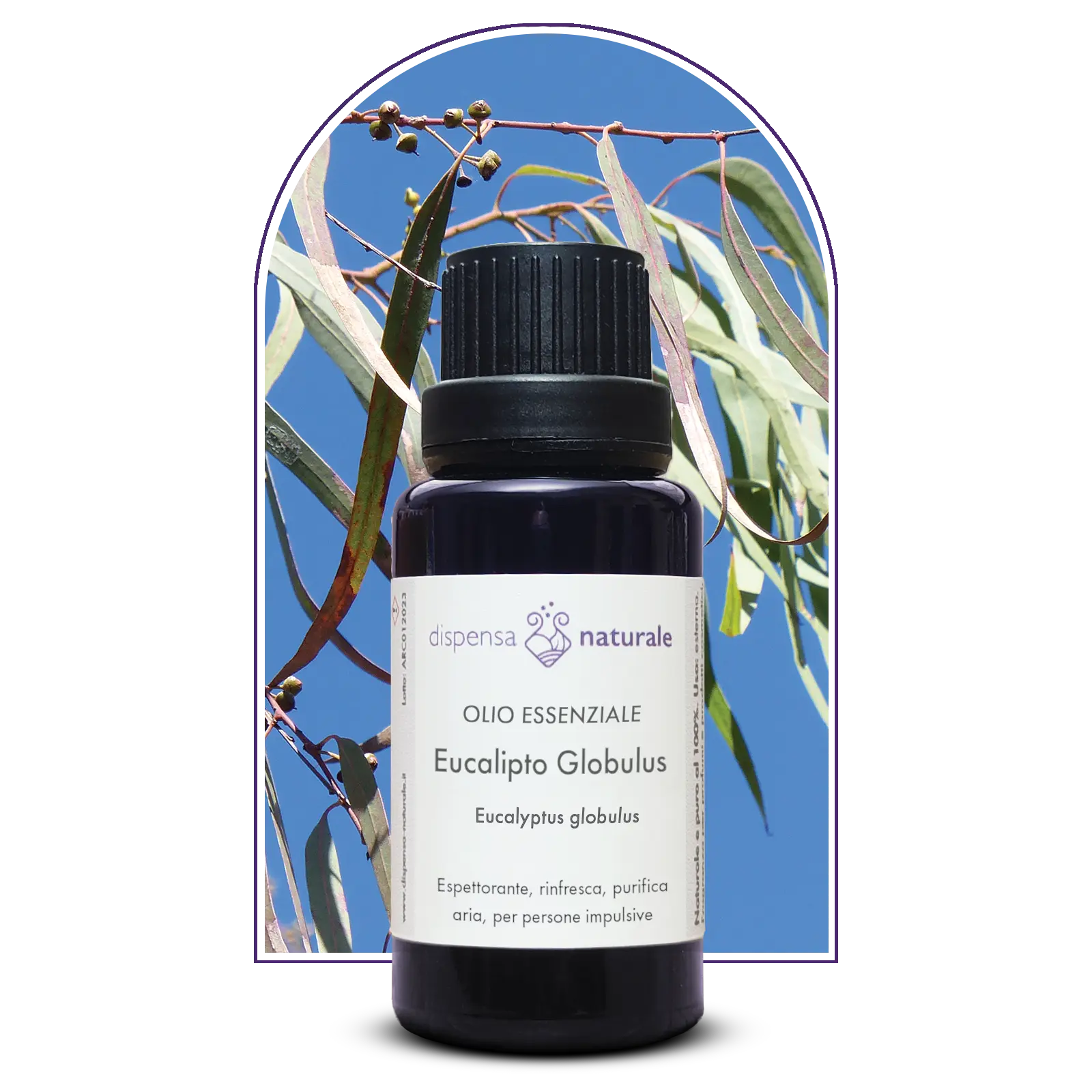 Olio Essenziale di Eucalipto Globulus senza pesticidi, Italia