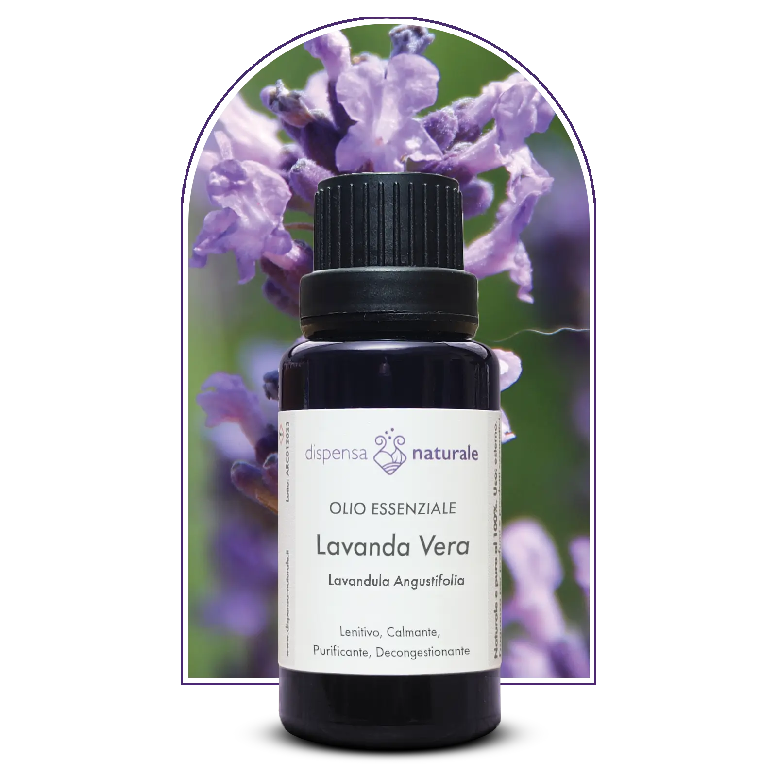 Olio Essenziale di Lavanda Vera da Monti Liguri, senza pesticidi