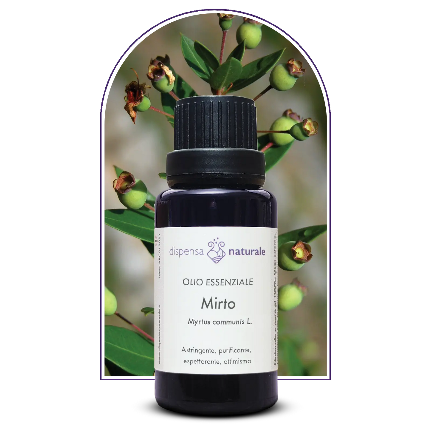 Olio Essenziale di Mirto da raccolta spontanea, Corsica