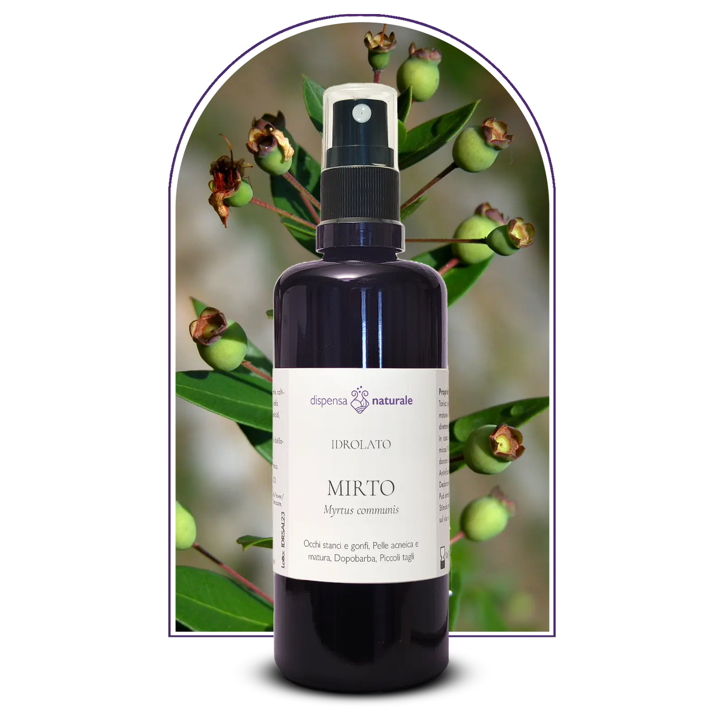 Idrolato di Mirto, senza pesticidi e conservanti, Corsica
