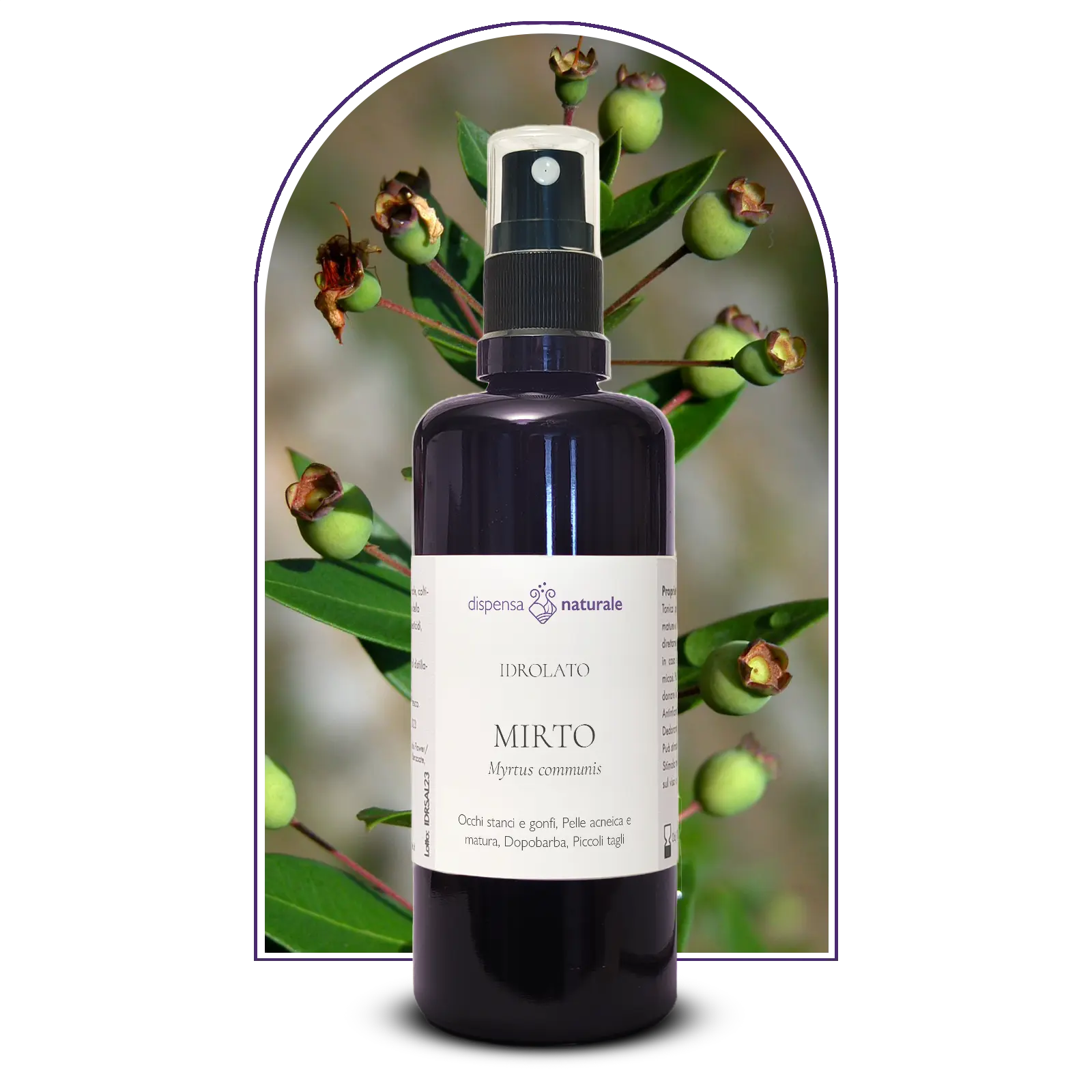 Idrolato di Mirto, senza pesticidi e conservanti, Corsica
