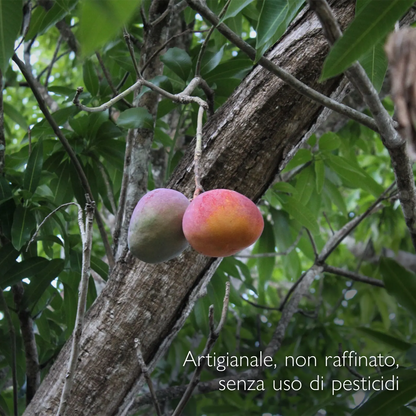 Burro di Mango non raffinato, artigianale e senza pesticidi, India